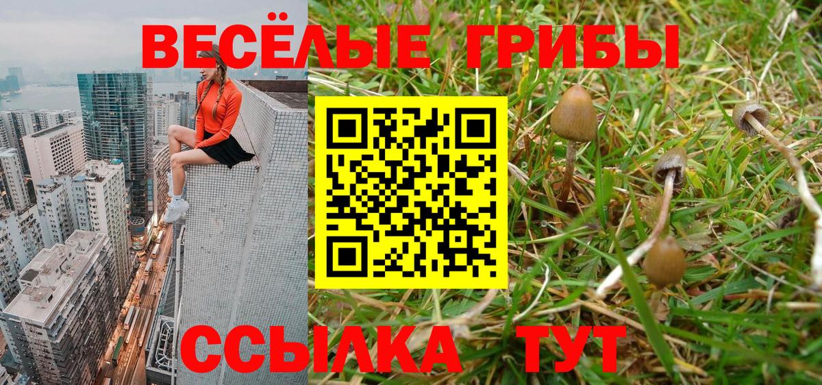 Губаха  Галлюциногенные грибы ЛСД  Вход с VPN  Галлюциногенные грибы Psilocybe 