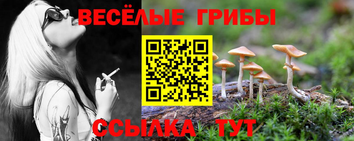 Галлюциногенные грибы GOLDEN TEACHER Губаха