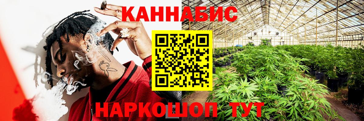 Бошки Шишки SATIVA & INDICA  Бошки Шишки гибрид  МАРИХУАНА сатива  Губаха  Вход с VPN 